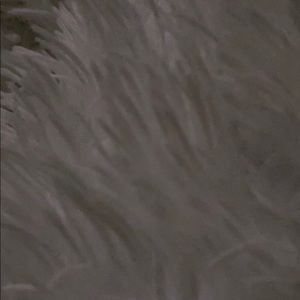 Meet your Posher, Mandy